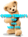 Cyber Teddy Top 500